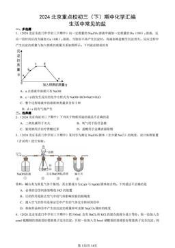 2024北京重点校初三（下）期中化学汇编：生活中常见的盐-答案