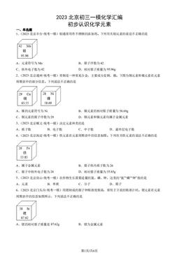 2023北京初三一模化学汇编：初步认识化学元素-答案