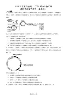 2024北京重点校高二（下）期中生物汇编：基因工程章节综合（单选题）-答案