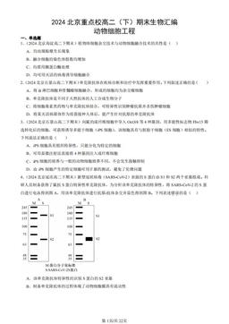 2024北京重点校高二（下）期末生物汇编：动物细胞工程-答案