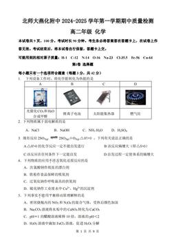 2024北京北师大燕化附中高二（上）期中化学-答案