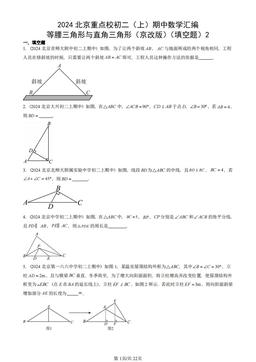 2024北京重点校初二（上）期中数学汇编：等腰三角形与直角三角形（京改版）（填空题）2-答案