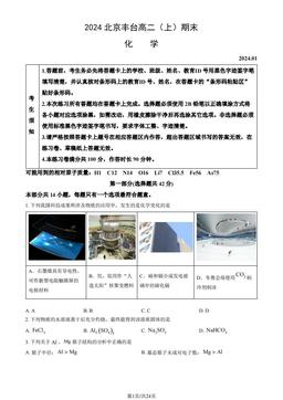 2024北京丰台高二（上）期末化学（教师版）-答案