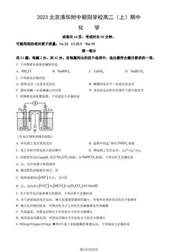 2023北京清华附中朝阳学校高二（上）期中化学（教师版）-答案