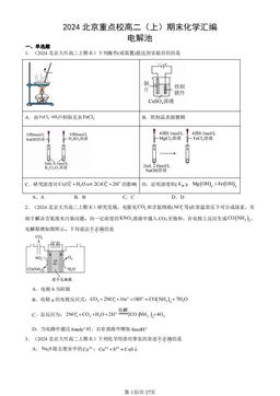 2024北京重点校高二（上）期末化学汇编：电解池-答案
