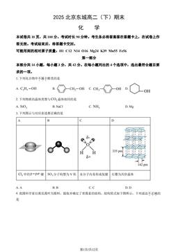 2025北京东城高二（下）期末化学（教师版）-答案