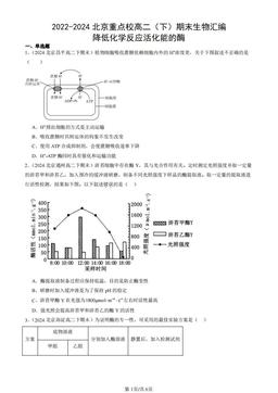 2022-2024北京重点校高二（下）期末生物汇编：降低化学反应活化能的酶-答案