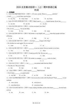 2024北京重点校初一（上）期中英语汇编：代词-答案